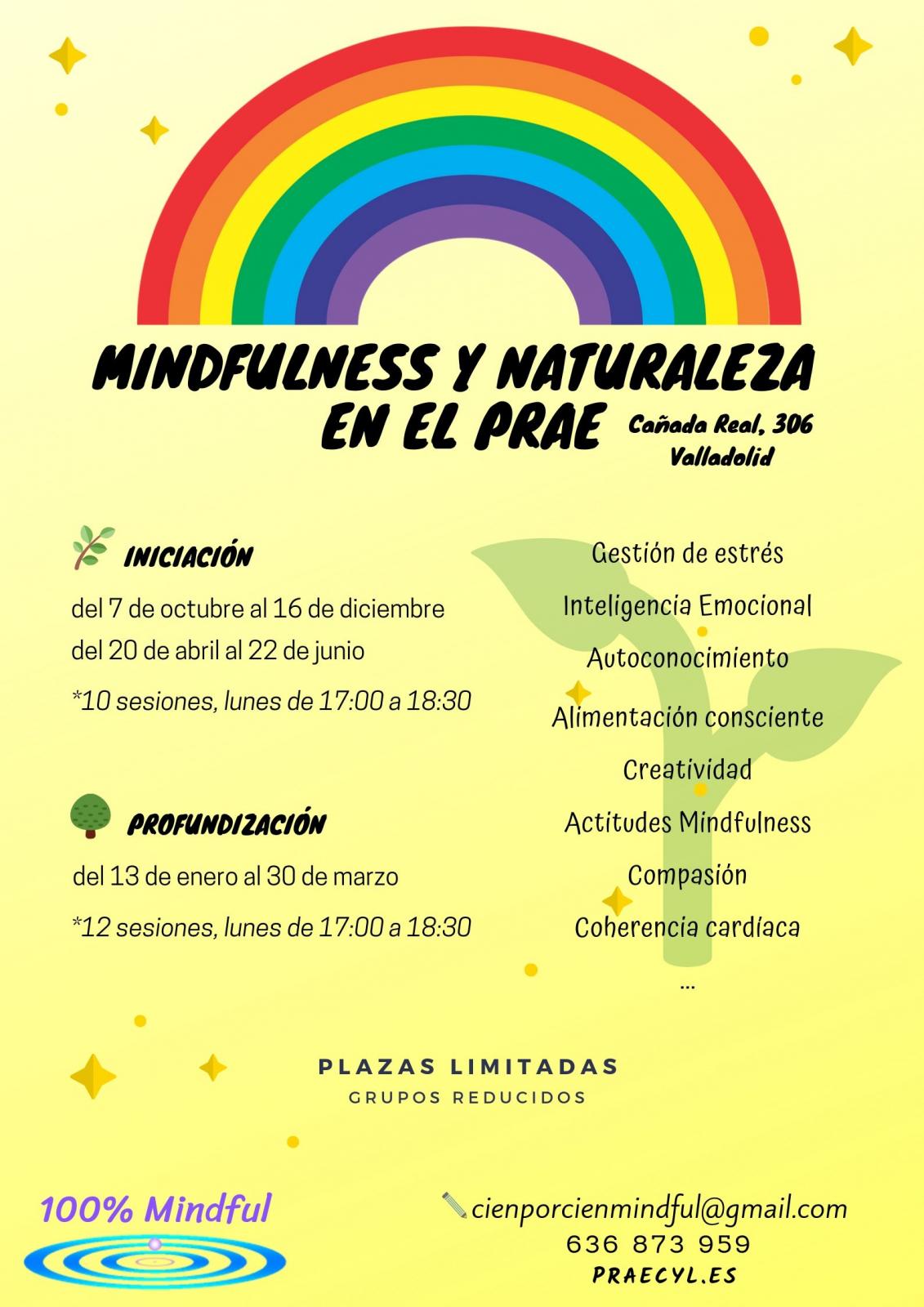 Talleres Mindfulness (adultos)